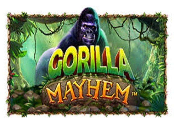 Live-казино в Gorilla: ігри з живими дилерами